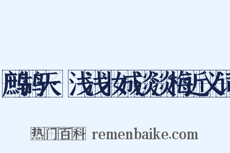 鹧鸪天·浅浅妆成淡淡梅近义词是什么意思的图片